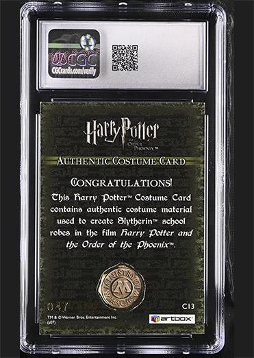 C13 - Slytherin School Robes - Back