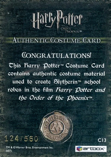 C13 - Slytherin School Robes - Back