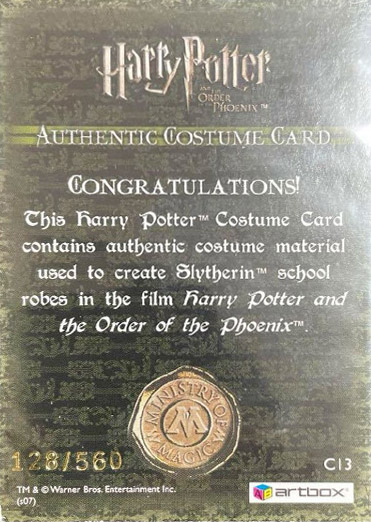 C13 - Slytherin School Robes - Back