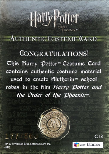 C13 - Slytherin School Robes - Back