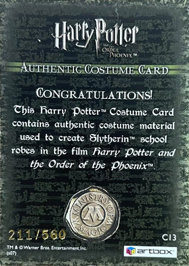 C13 - Slytherin School Robes - Back