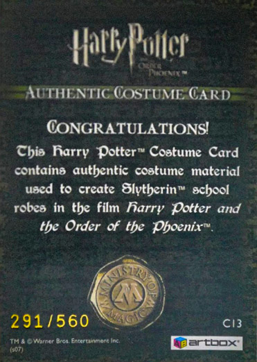 C13 - Slytherin School Robes - Back
