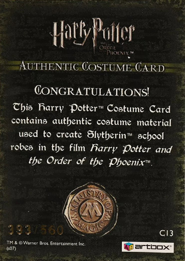 C13 - Slytherin School Robes - Back