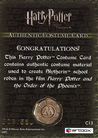 C13 - Slytherin School Robes - Back