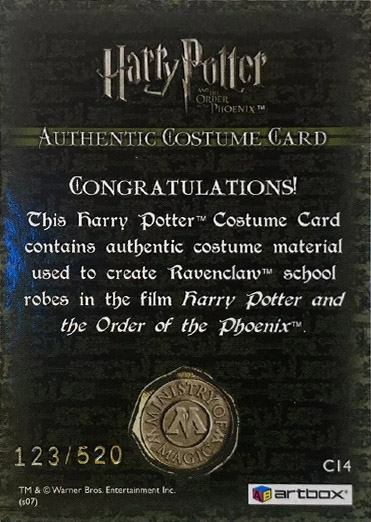 C14 - Ravenclaw School Robes - Back