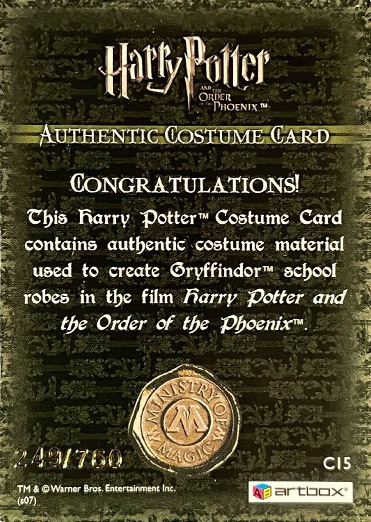 C15 - Gryffindor School Robes - Back