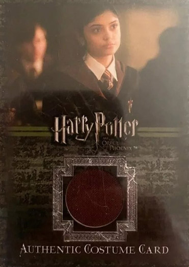 C15 - Gryffindor School Robes - Front