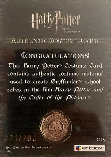 C15 - Gryffindor School Robes - Back