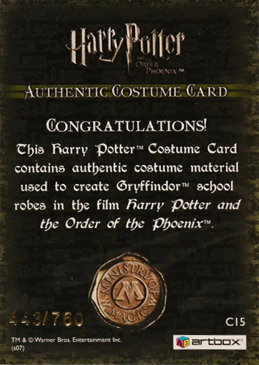 C15 - Gryffindor School Robes - Back