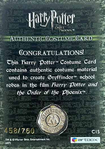 C15 - Gryffindor School Robes - Back