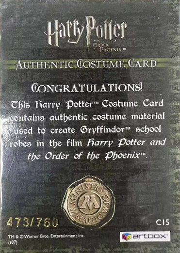 C15 - Gryffindor School Robes - Back