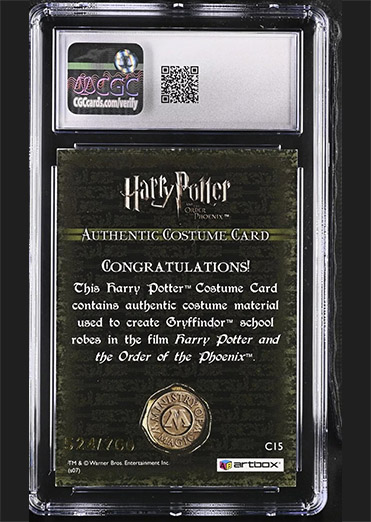 C15 - Gryffindor School Robes - Back