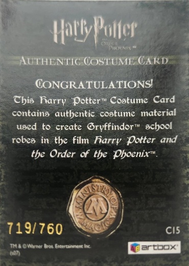 C15 - Gryffindor School Robes - Back