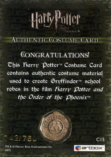 C15 - Gryffindor School Robes - Back