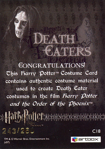 C18 - Death Eater Costume - Back