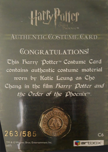 C6 - Cho Chang's Robe - Back