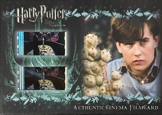 CFC4 - Neville with Plant - Front