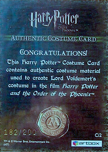 Ci2 - Lord Voldemort's Robes - Back