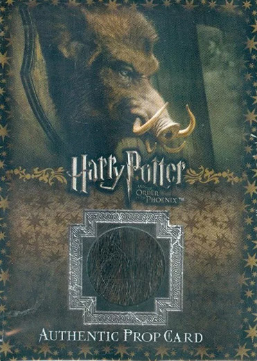 Ci4 - Hog's Head Hair - Front