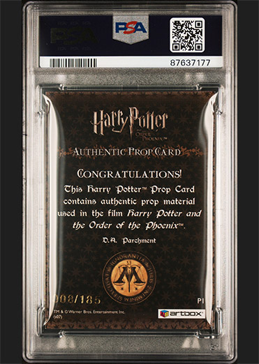 P1 - D.A Parchment - Back