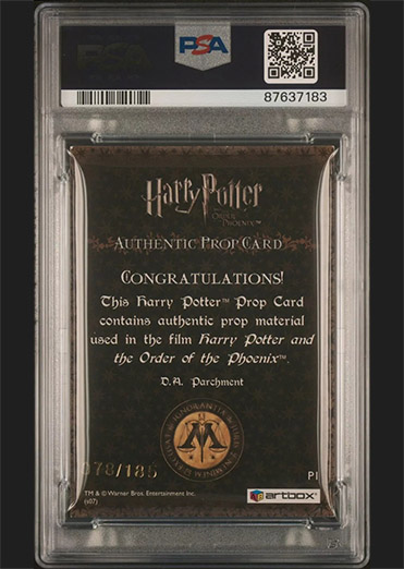 P1 - D.A Parchment - Back