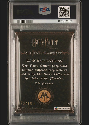 P1 - D.A Parchment - Back