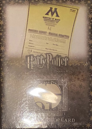 P6 - Dolores Umbridge's Progress Reports - Front