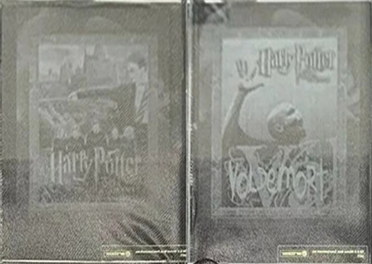 Set 3 - Harry and Voldermort