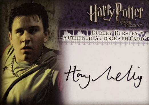 Harry Melling as Dudley Dursley