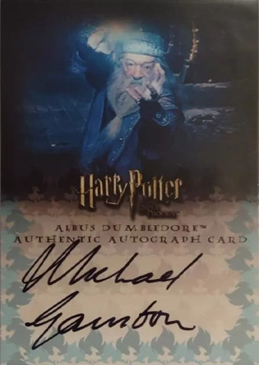 Michael Gambon Albus Dumbledore - Front