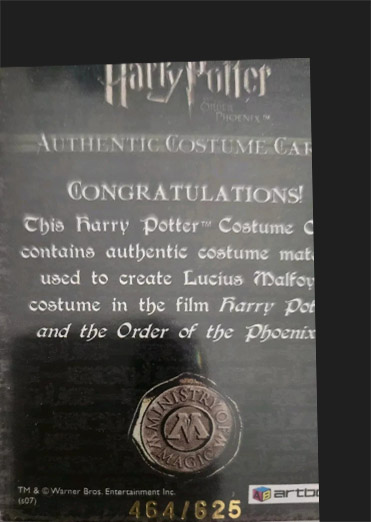 C11 - Lucius Malfoy Costume - Back