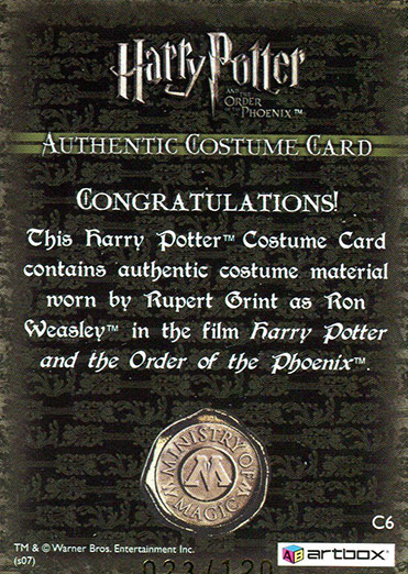 C6 - Ron Weasley's Tie - Back