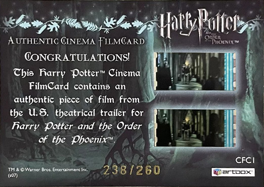 CFC1 - Luna and thestral - Back