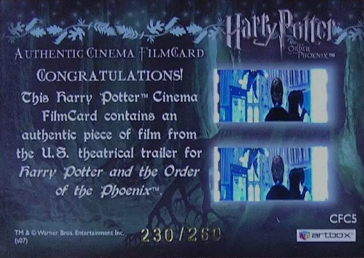 CFC5 - Young Peter Pettigrew - Back