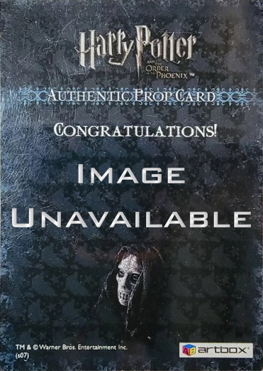 P8 - Death Eaters Mask and Costume - Back