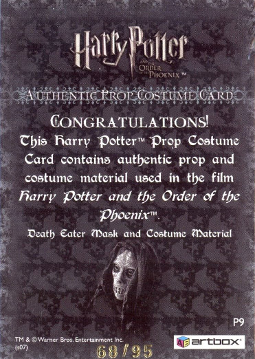 P9 - Death Eater Mask and Costume - Back