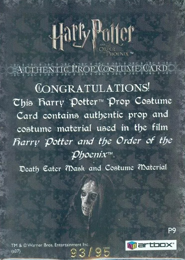 P9 - Death Eater Mask and Costume - Back