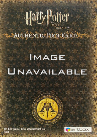 Ci1 - Grimmauld Place Fabric - Back