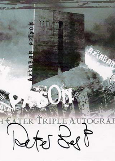 DEPZ-02 - Peter Best as a Death Eater