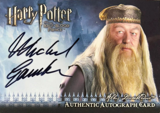 Michael Gambon as Albus Dumbledore - Front