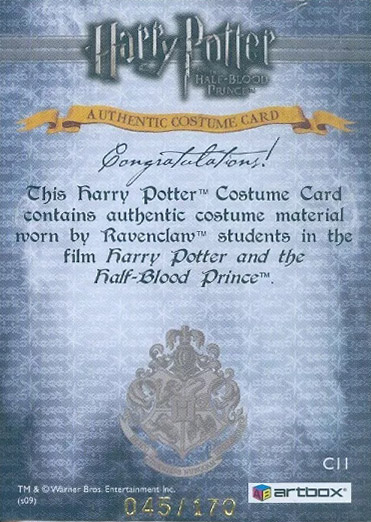 C11 - Ravenclaw Students School Robes - Back