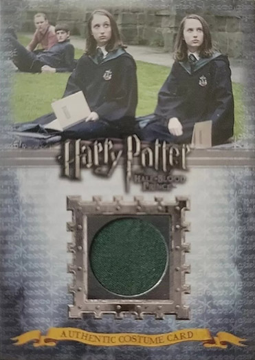 C12 - Slytherin Students School Robes - Front