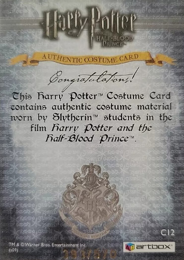 C12 - Slytherin Students School Robes - Back