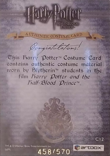 C12 - Slytherin Students School Robes - Back