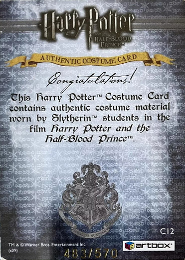 C12 - Slytherin Students School Robes - Back