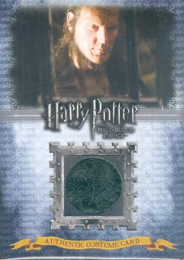 C13 - Fenrir Greyback Costume