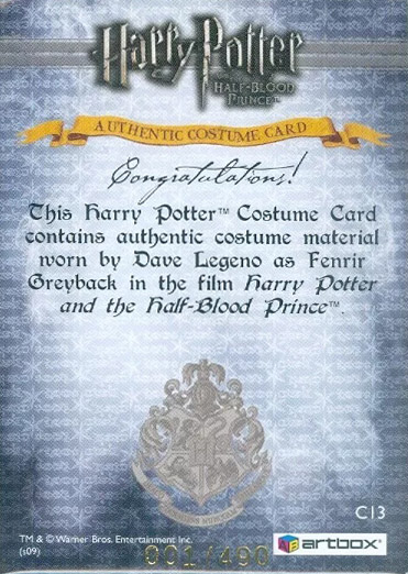 C13 - Fenrir Greyback Costume - Back