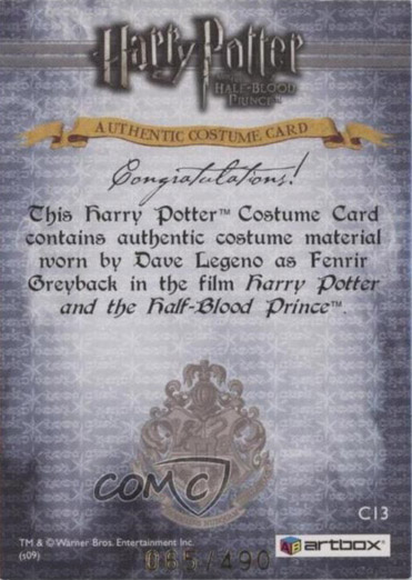 C13 - Fenrir Greyback Costume - Back