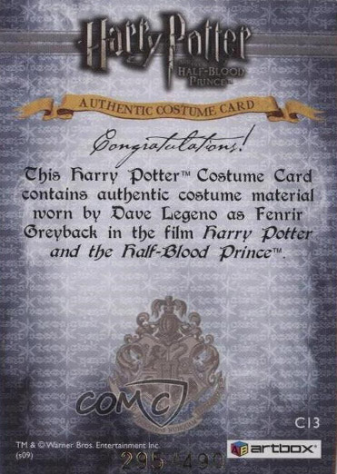 C13 - Fenrir Greyback Costume - Back