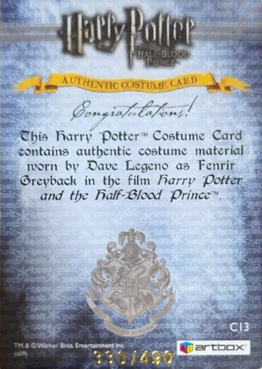 C13 - Fenrir Greyback Costume - Back